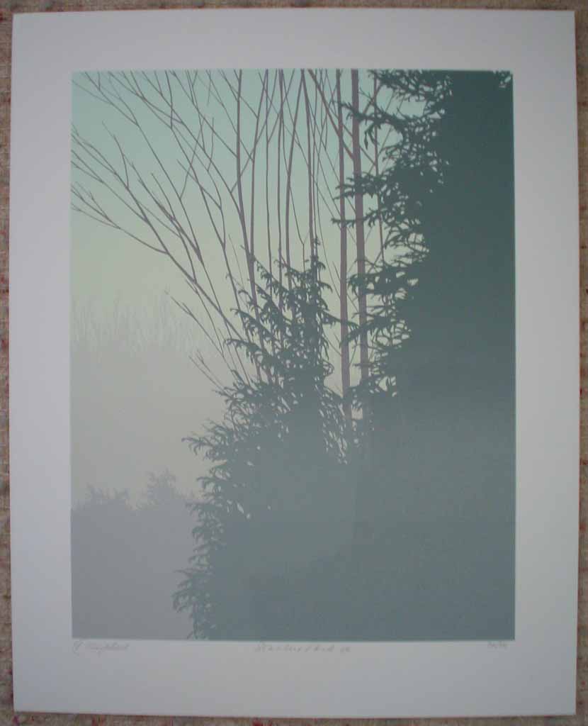Stanley Park '86 by Leyda Campbell, shown with full margins - original screenprint/silkscreen limited edition fine art print, signed, titled and numbered 36/86 by artist