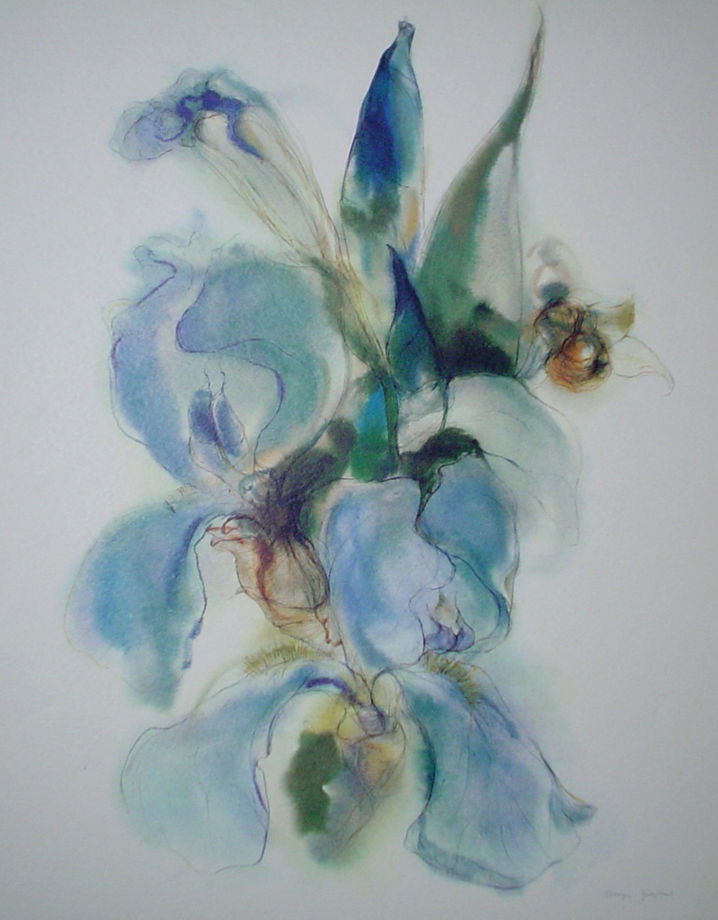 "Blue Iris" by Klaus Meyer Gasters - vintage 1970's/1980's offset lithograph reproduction watercolour collectible fine art print (size approx. 18.5 x 15 inches/ ca. 47 x 38 cm) - KerrisdaleGallery.com
