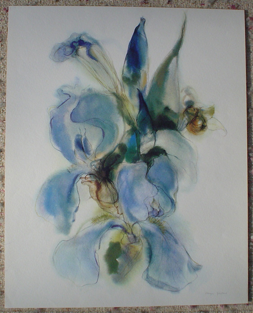 "Blue Iris" by Klaus Meyer Gasters, shown with full margins - vintage 1970's/1980's offset lithograph reproduction watercolour collectible fine art print (size approx. 18.5 x 15 inches/ ca. 47 x 38 cm) - KerrisdaleGallery.com