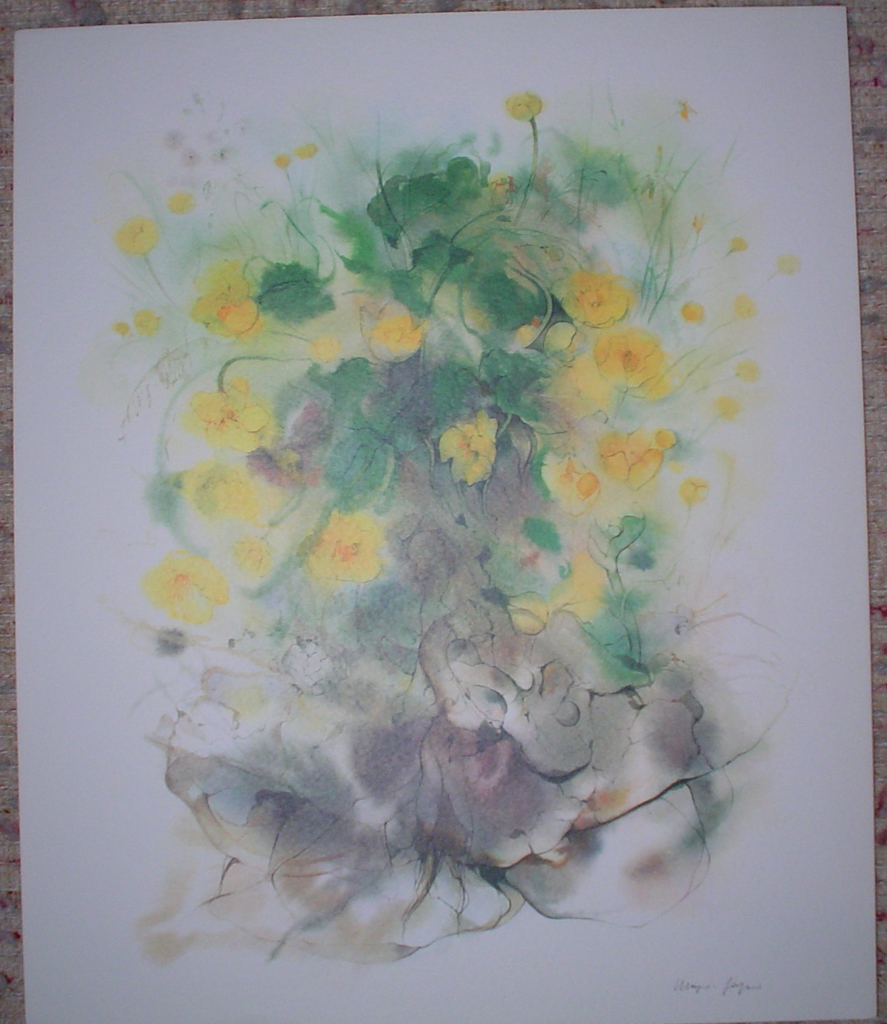"Yellow Buttercups, Marsh Marigolds", in German: "Sumpfdotterblumen" by Klaus Meyer Gasters, shown with full margins - vintage 1970's/1980's offset lithograph reproduction watercolour collectible fine art print (size approx. 18.5 x 15 inches/ ca 47 x 38 cm) - KerrisdaleGallery.com