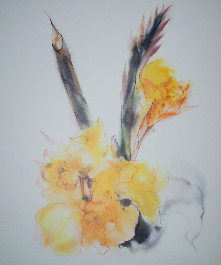 "Yellow Gladiola" by Klaus Meyer Gasters - vintage 1970's/1980's offset lithograph reproduction watercolour collectible fine art print (size approx. 18.5 x 15 inches/ ca 47 x 38 cm) - KerrisdaleGallery.com