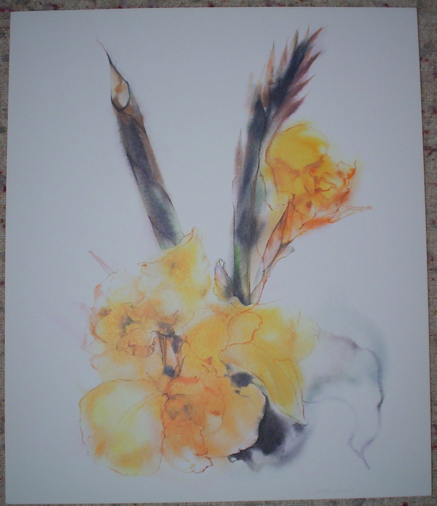 "Yellow Gladiola" by Klaus Meyer Gasters, shown with full margins - vintage 1970's/1980's offset lithograph reproduction watercolour collectible fine art print (size approx. 18.5 x 15 inches/ ca 47 x 38 cm) - KerrisdaleGallery.com