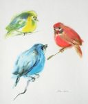 "Three Tanager Birds: Red, Yellow, Blue" by Klaus Meyer Gasters - vintage 1970's offset lithograph reproduction watercolour collectible art print (size 12.5 x 10.75 inches/31.75 x 27 cm) - KerrisdaleGallery.com