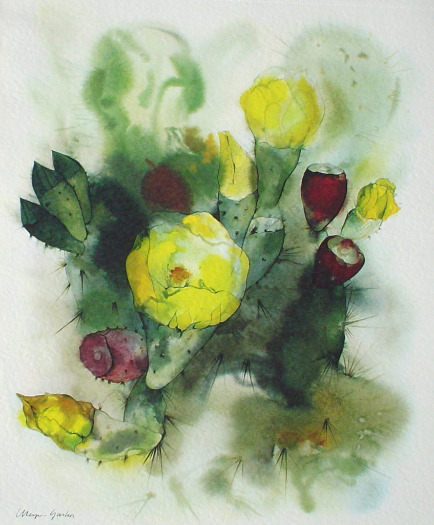 "Yellow Cactus Flowers" by Klaus Meyer Gasters - vintage 1977 offset lithograph reproduction watercolour collectible fine art print (size 12.5 x 10.75 inches/31.75 x 27 cm) - KerrisdaleGallery.com