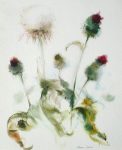 "White Thistle" by Klaus Meyer Gasters - vintage 1977 offset lithograph reproduction watercolour collectible fine art print (size 12.5 x 10.75 inches/31.75 x 27 cm) - KerrisdaleGallery.com
