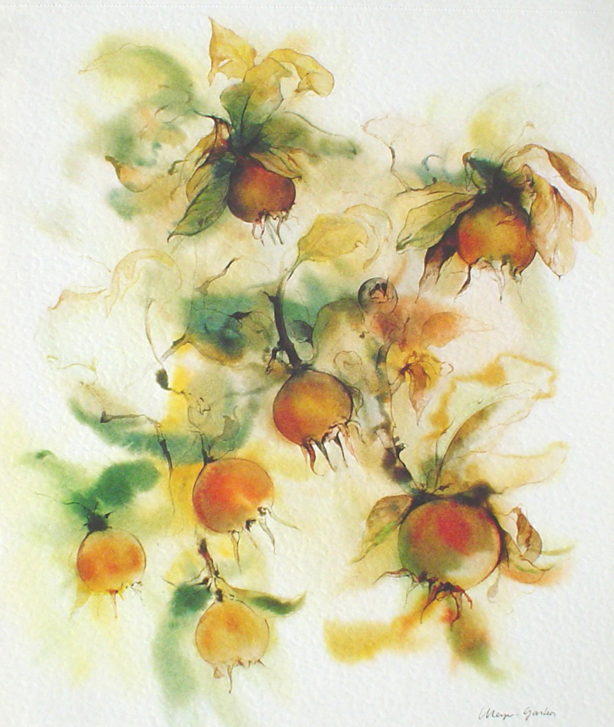 "Golden Rosehips" by Klaus Meyer Gasters - vintage 1977 offset lithograph reproduction watercolour collectible fine art print (size 12.5 x 10.75 inches/31.75 x 27 cm) - KerrisdaleGallery.com