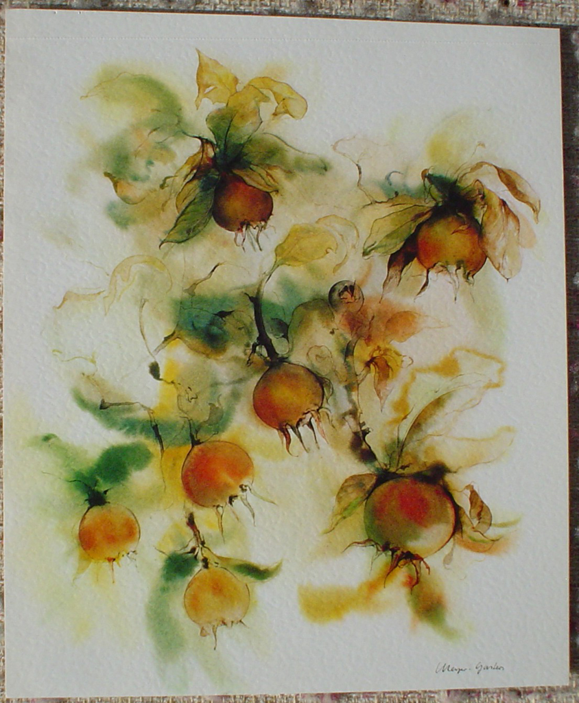 "Golden Rosehips" by Klaus Meyer Gasters, shown with full margins - vintage 1977 offset lithograph reproduction watercolour collectible fine art print (size 12.5 x 10.75 inches/31.75 x 27 cm) - KerrisdaleGallery.com