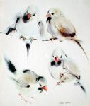 "Four Finches" in German:"Amadinen" by Klaus Meyer Gasters - vintage 1977 offset lithograph reproduction watercolour collectible fine art print (size 12.5 x 10.75 inches/31.75 x 27 cm) - KerrisdaleGallery.com