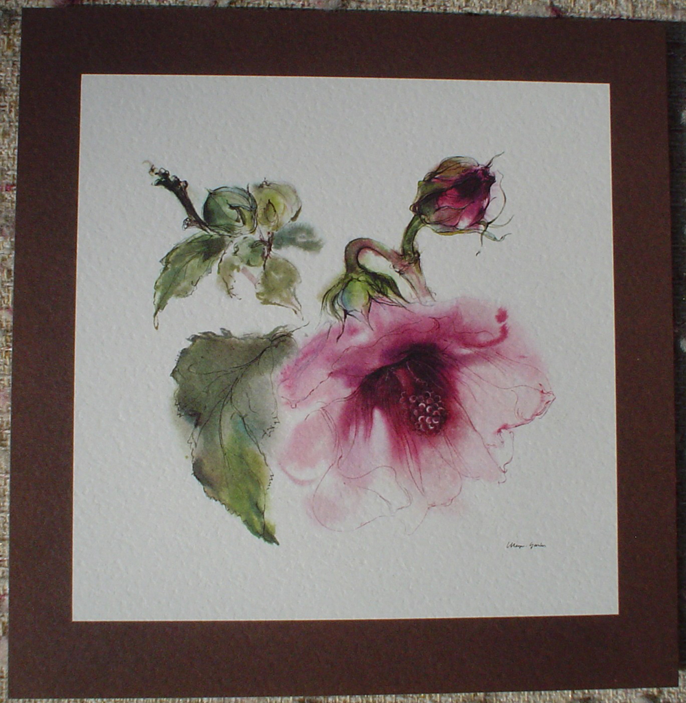 "Red Hibiscus Flower With Bud" by Klaus Meyer Gasters, shown with full margin - vintage offset lithograph reproduction watercolour collectible art print from 1981 (size 12 x 11.5 inches/30.5 x 29.25 cm) - KerrisdaleGallery.com