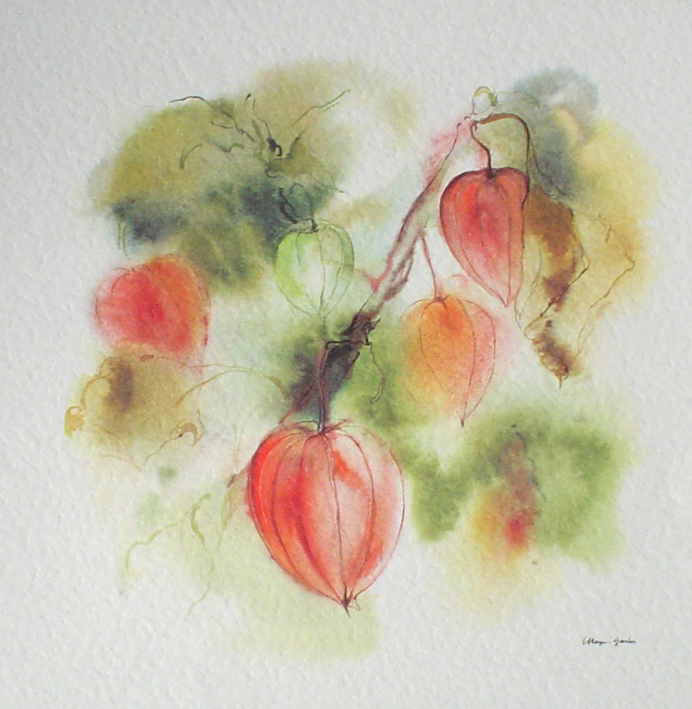 "Red Lantern Flowers" by Klaus Meyer Gasters - vintage offset lithograph reproduction watercolour collectible art print from 1981 (size 12 x 11.5 inches/30.5 x 29.25 cm) - KerrisdaleGallery.com