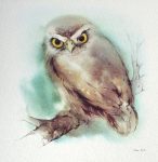 "Owl" in German:"Eule" by Klaus Meyer Gasters - vintage offset lithograph reproduction watercolour collectible art print from 1981 (size 12 x 11.5 inches/30.5 x 29.25 cm) - KerrisdaleGallery.com