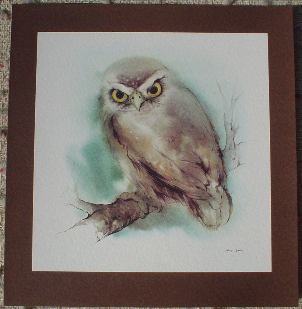 "Owl" in German:"Eule" by Klaus Meyer Gasters, shown with full margins - vintage offset lithograph reproduction watercolour collectible art print from 1981 (size 12 x 11.5 inches/30.5 x 29.25 cm) - KerrisdaleGallery.com