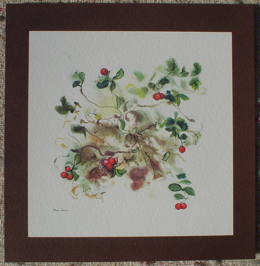"Red Cranberries", in German:"Preiselbeeren" by Klaus Meyer Gasters, shown with full margins - vintage offset lithograph reproduction watercolour collectible art print from 1981 (size 12 x 11.5 inches/30.5 x 29.25 cm) - KerrisdaleGallery.com