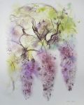 "Purple Wisteria", in German: "Glyzinien" by Klaus Meyer Gasters - vintage 1970's/1980's offset lithograph reproduction watercolour collectible fine art print (size approx. 15 x 18.5 inches/ ca 38 x 47 cm) - KerrisdaleGallery.com