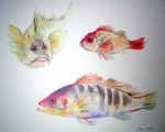 "Three Exotic Fish" by Klaus Meyer Gasters - vintage 1970's/1980's offset lithograph reproduction watercolour collectible fine art print (size approx. 15 x 18.5 inches/ ca 38 x 47 cm) - KerrisdaleGallery.com