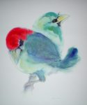 "Two Blue Barbet Birds" by Klaus Meyer Gasters - vintage 1970's/1980's offset lithograph reproduction watercolour collectible fine art print (size approx. 15 x 18.5 inches/ ca 38 x 47 cm) - KerrisdaleGallery.com