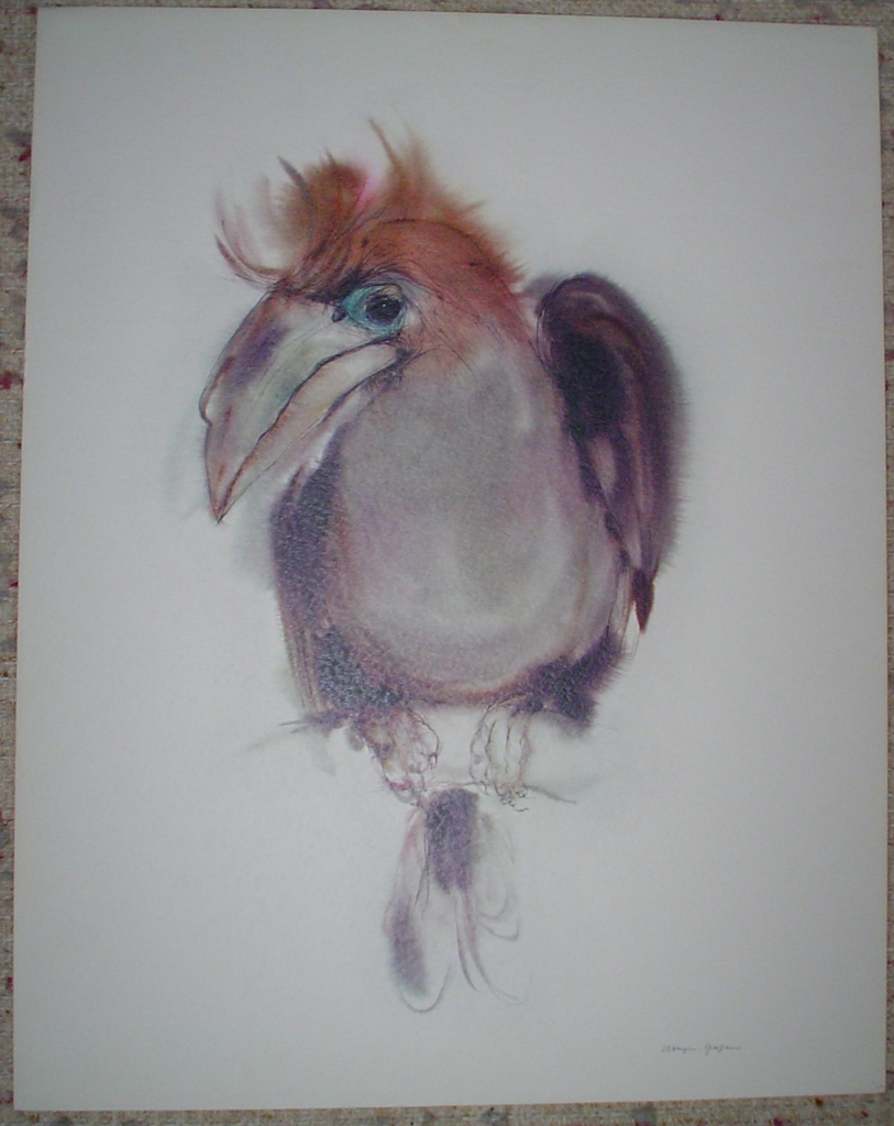 "Clubbed Hornbill Bird", in German: "Keulenhornvogel" by Klaus Meyer Gasters, shown with full margins - vintage 1970's/1980's offset lithograph reproduction watercolour collectible fine art print (size approx. 15 x 18.5 inches/ ca 38 x 47 cm) - KerrisdaleGallery.com
