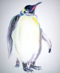 "Emperor Penguin", in German: "Koenigspenguin" by Klaus Meyer Gasters - vintage 1970's/1980's offset lithograph reproduction watercolour collectible fine art print (size approx. 15 x 18.5 inches/ ca 38 x 47 cm) - KerrisdaleGallery.com