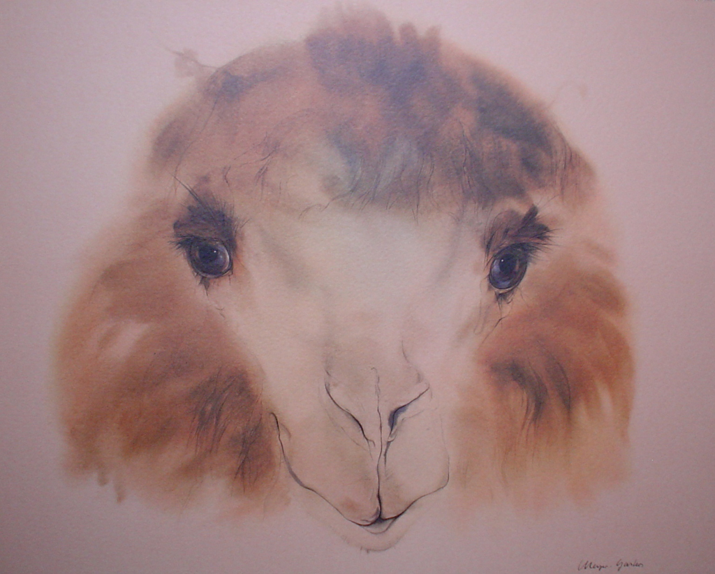 "Pleasant Camel" by Klaus Meyer Gasters - vintage 1970's/1980's offset lithograph reproduction watercolour collectible fine art print (size approx. 15 x 18.5 inches/ ca 38 x 47 cm) - KerrisdaleGallery.com