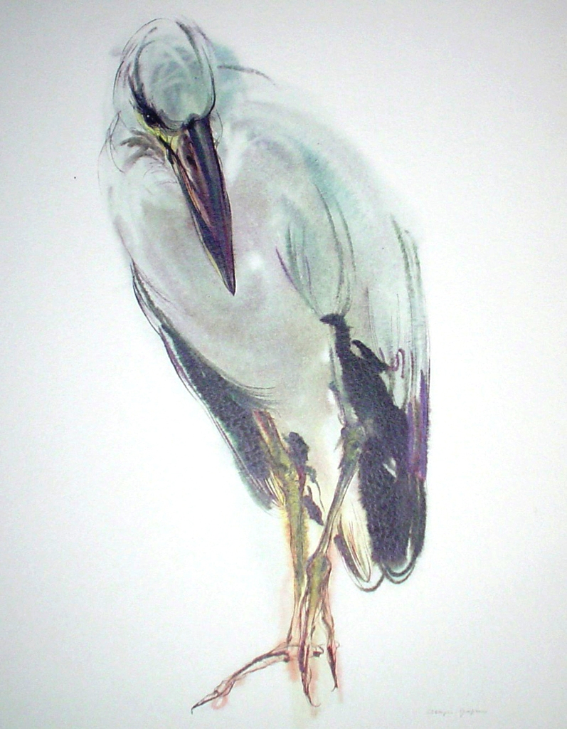 "Asian Openbill Stork", in German: "Silberklaffschnabel" by Klaus Meyer Gasters - vintage 1970's/1980's offset lithograph reproduction watercolour collectible fine art print (size approx. 15 x 18.5 inches/ ca 38 x 47 cm) - KerrisdaleGallery.com