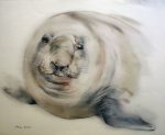 "Elephant Seal", in German: "Seeelefant" by Klaus Meyer Gasters - vintage 1970's/1980's offset lithograph reproduction watercolour collectible fine art print (size approx. 15 x 18.5 inches/ ca 38 x 47 cm) - KerrisdaleGallery.com