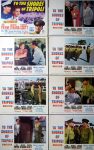 KerrisdaleGallery.com - Stock ID#MPLCx8TRI52ph - "To The Shores of Tripoli" (1952 re-release, 20thC-Fox, USA, NSS#R52/214)- Original Vintage Movie Poster Lobby Cards, Set of 8 - feature view - War drama starring John Payne, Maureen O'Hara, Randolph Scott. Directed by H. Bruce Humberstone.