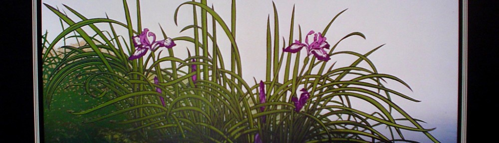 Hills Of Iris by Douglas Comstock