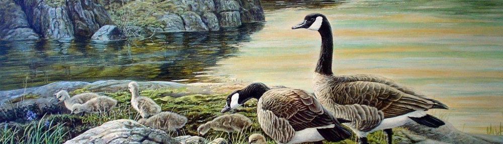 Wild Wings, Gentle Creatures by Lissa Calvert