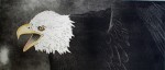 Bald Eagle by Nancy Leslie - original etching, signed and numbered 18/ 150