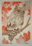 Screech Owl by Nancy Leslie - original etching, signed and numbered 22/ 150