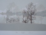 Reflet by Patry - original silkscreen, signed and numbered 60/ 99
