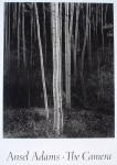 Aspens Northern New Mexico by Ansel Adams - offset lithograph fine art photographic poster print