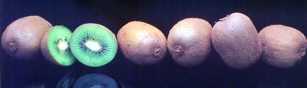 Kiwis by Rick Davis - offset lithograph fine art photographic poster print