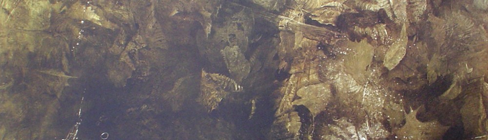 Thin Ice by Andrew Newell Wyeth - collectible collotype fine art print