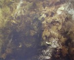 Thin Ice by Andrew Newell Wyeth - collectible collotype fine art print