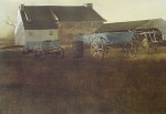 Marsh Hawk by Andrew Newell Wyeth - collectible collotype fine art print