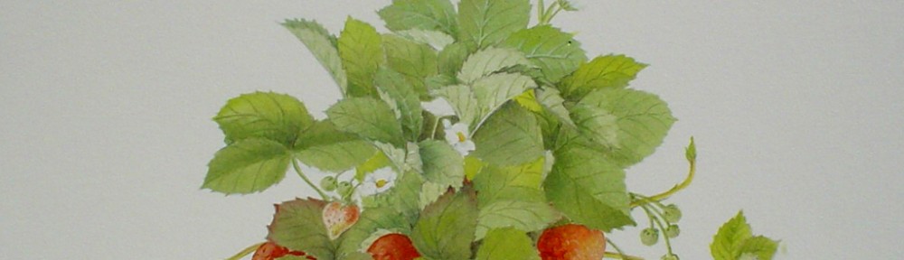 Strawberries by Nicolette Cross, signed by artist and numbered 12/175 - offset lithograph limited edition fine art print
