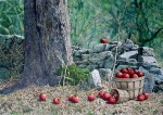 Windfalls, Apple Basket by Helen Rundell - original lithograph, signed