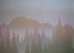 Summer Rain by Peter and Traudl Markgraf - offset lithograph vintage fine art print reproduction