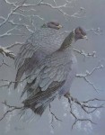 Winter Band-tails by E.M. Chadwick - titled and signed by the artist - offset lithograph reproduction vintage fine art print