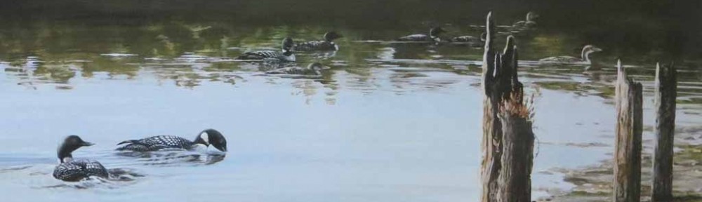 Swimming Canada Geese (untitled) by Lissa Calvert - offset lithograph reproduction vintage fine art print