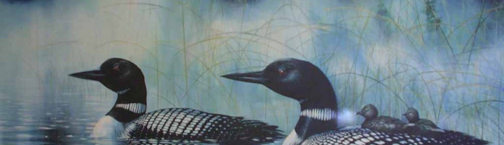 Duck Family Swimming (untitled) by Bruce Muir - hand-numbered AP 8/50 and signed by the artist - limited edition artist's proof offset lithograph vintage fine art print