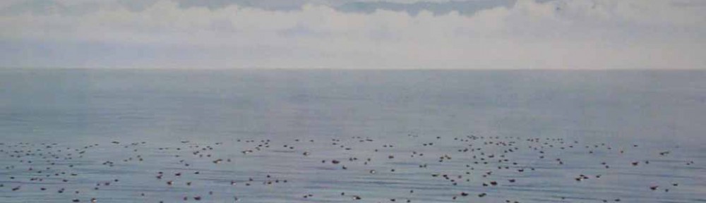 Migrating Ducks by Jeane Duffey, 18x24, printed in England - offset lithograph reproduction vintage fine art print