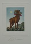 Aries/ Widder by Volker Kühn (ie. Volker Kuehn) - German Zodiac original hand-coloured etching signed by artist