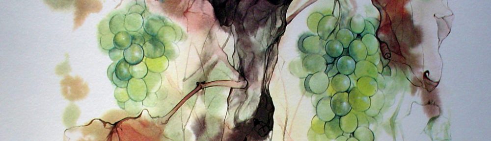 "Green Grapes", in German: "Weintrauben" by Klaus Meyer Gasters, shown with full margins - vintage 1970's/1980's offset lithograph reproduction watercolour collectible fine art print (size approx. 15 x 18.5 inches/ ca. 38 x 47 cm) - KerrisdaleGallery.com