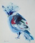 "Blue Crowned Pigeon" in German:"Kronentaube" by Klaus Meyer Gasters - vintage 1977 offset lithograph reproduction watercolour collectible fine art print (size 12.5 x 10.75 inches/31.75 x 27 cm) - KerrisdaleGallery.com