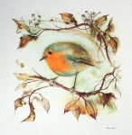 "Red Robin" in German:"Rotkehlchen" by Klaus Meyer Gasters - vintage offset lithograph reproduction watercolour collectible art print from 1981 (size 12 x 11.5 inches/30.5 x 29.25 cm) - KerrisdaleGallery.com
