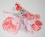 KerrisdaleGallery.com - Stock ID#MG004ph - "Red Amaryllis With Bud" by Klaus Meyer Gasters - vintage 1970's/1980's offset lithograph reproduction watercolour collectible fine art print (size approx. 15 x 18.5 inches/ ca 38 x 47 cm) - KerrisdaleGallery.com