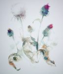 "White Thistle" by Klaus Meyer Gasters - vintage 1970's/1980's offset lithograph reproduction watercolour collectible fine art print (size approx. 15 x 18.5 inches/ ca 38 x 47 cm) - KerrisdaleGallery.com