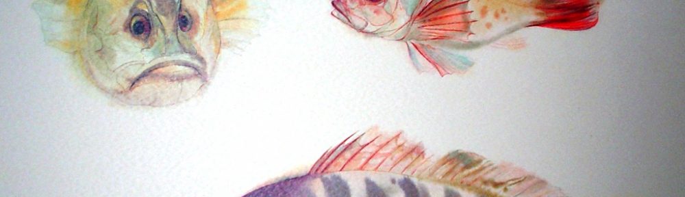 "Three Exotic Fish" by Klaus Meyer Gasters - vintage 1970's/1980's offset lithograph reproduction watercolour collectible fine art print (size approx. 15 x 18.5 inches/ ca 38 x 47 cm) - KerrisdaleGallery.com